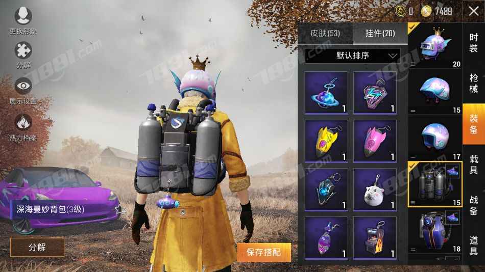 和平精英安卓v 不朽星钻 48套装 65枪械皮肤 特斯拉x-银色 特斯拉3