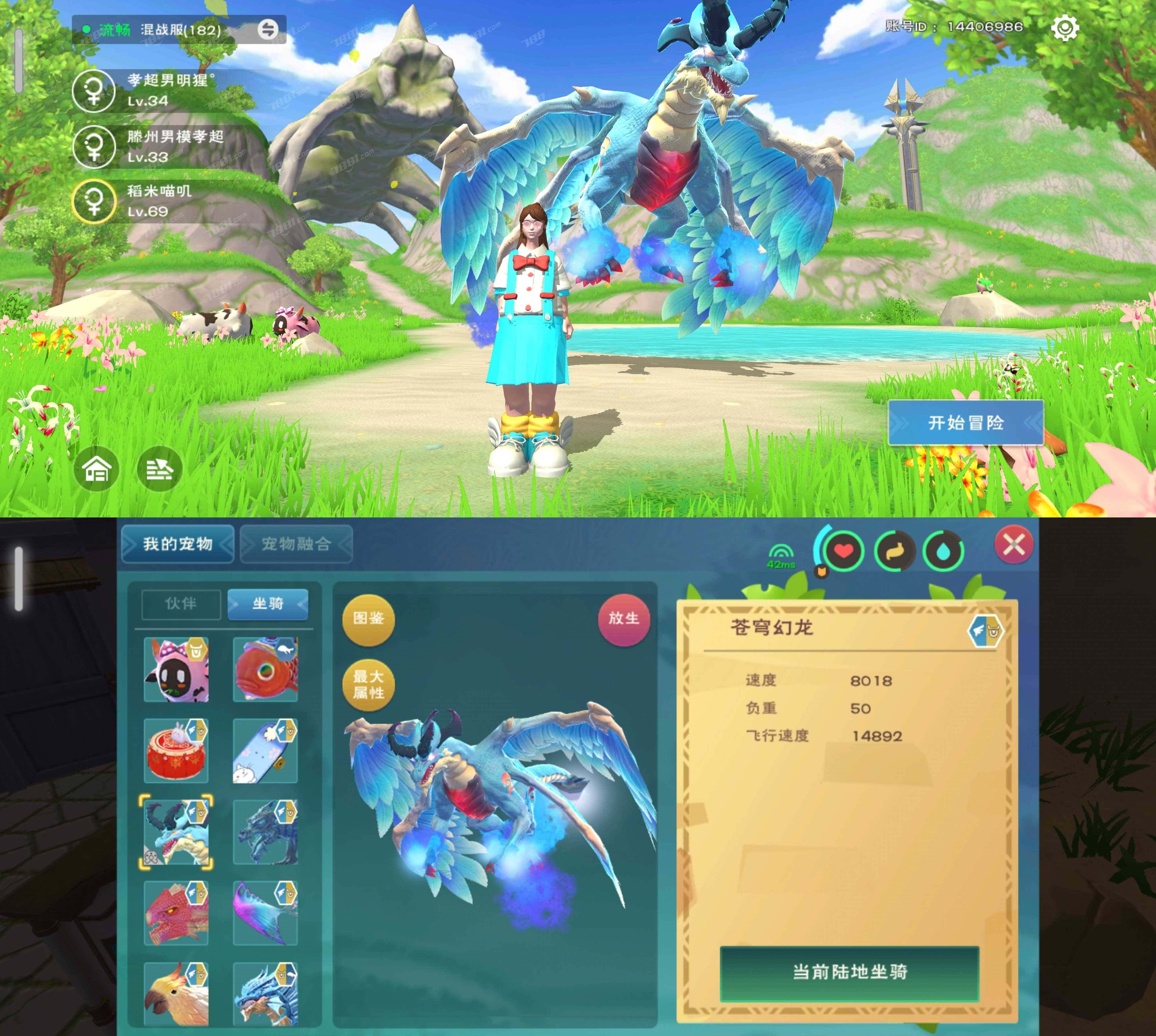 创造与魔法幻龙骨龙飞龙5只6宠9载具高战_创造与魔法全区混战世界182