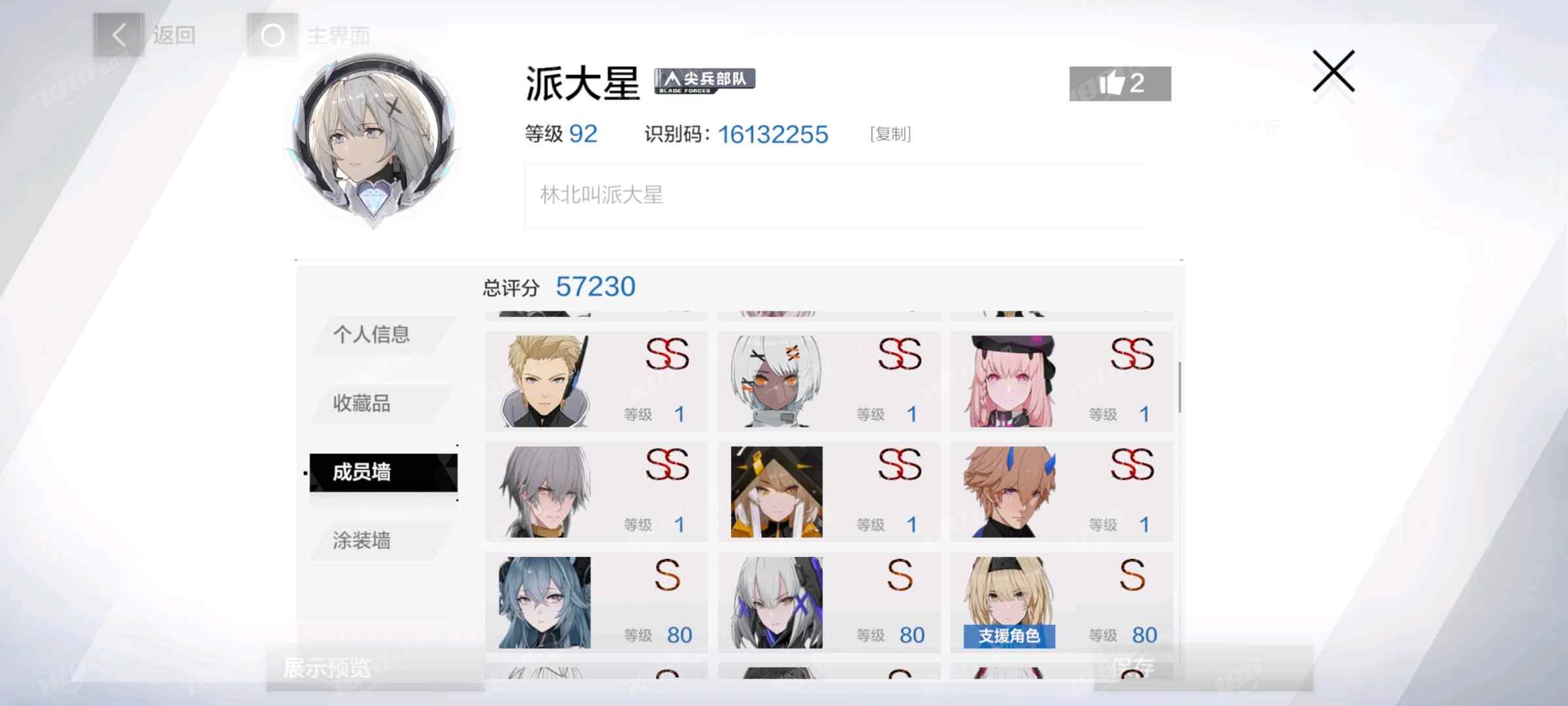 战双帕弥什