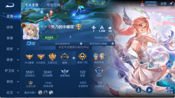 WZQM3338992王者荣耀账号详情图4 WZQM3338992王者荣耀账号详情图4