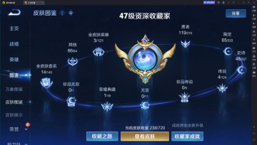 WZ133675