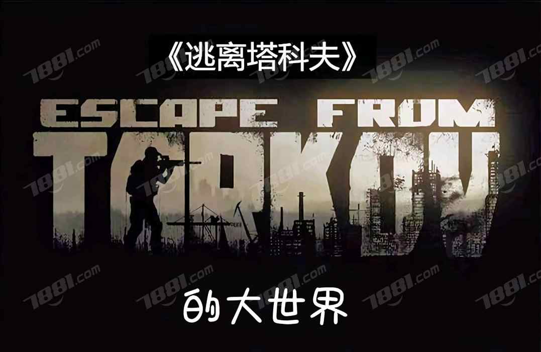 【逃离塔科夫】None/全区全服 账号 40元-星云网络游戏交易网