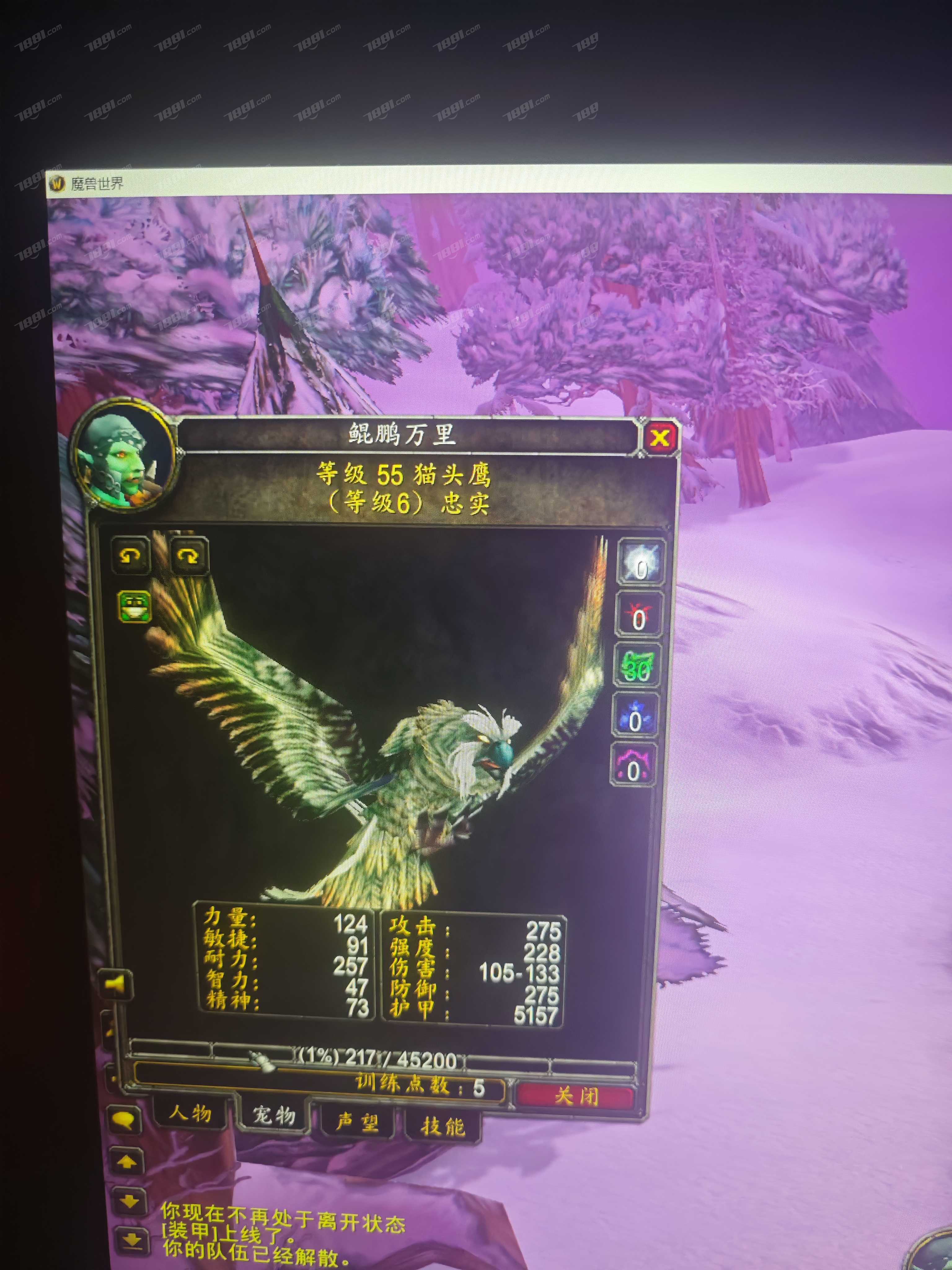 【(国服)魔兽旧世经典60】None/经典60级 账号 470元-星云网络游戏交易网